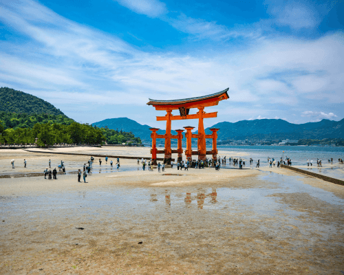 tori gate with tide out